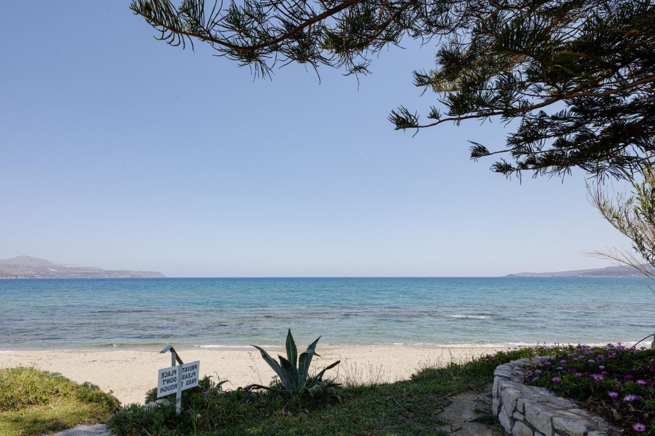 Appartement Adelphes Beachfront With Direct Connection To The *